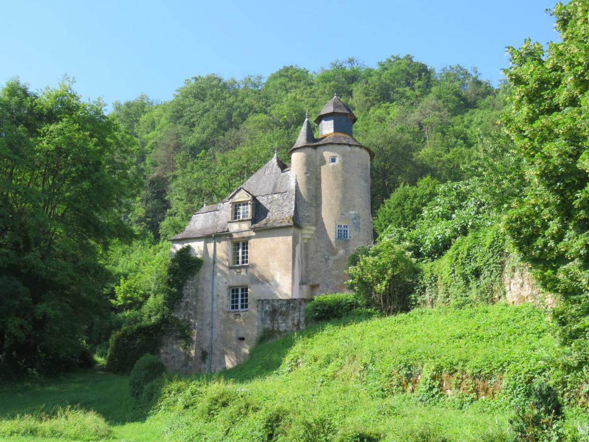 Terrasson Chateau De Gaubert B&B 외부 사진